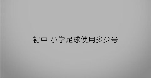 初中 小学足球使用多少号